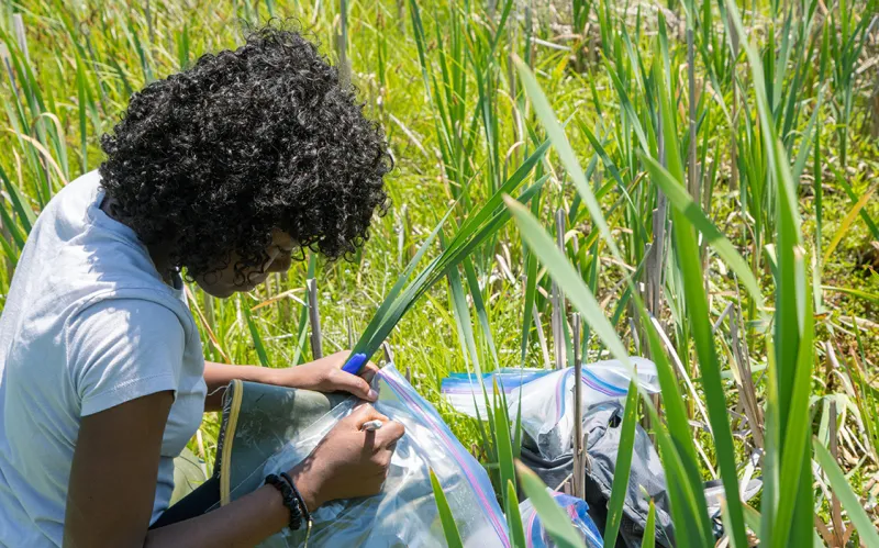 A female student collects lab materials outdoors