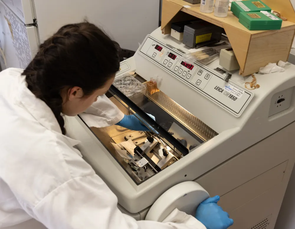 using lab equipment